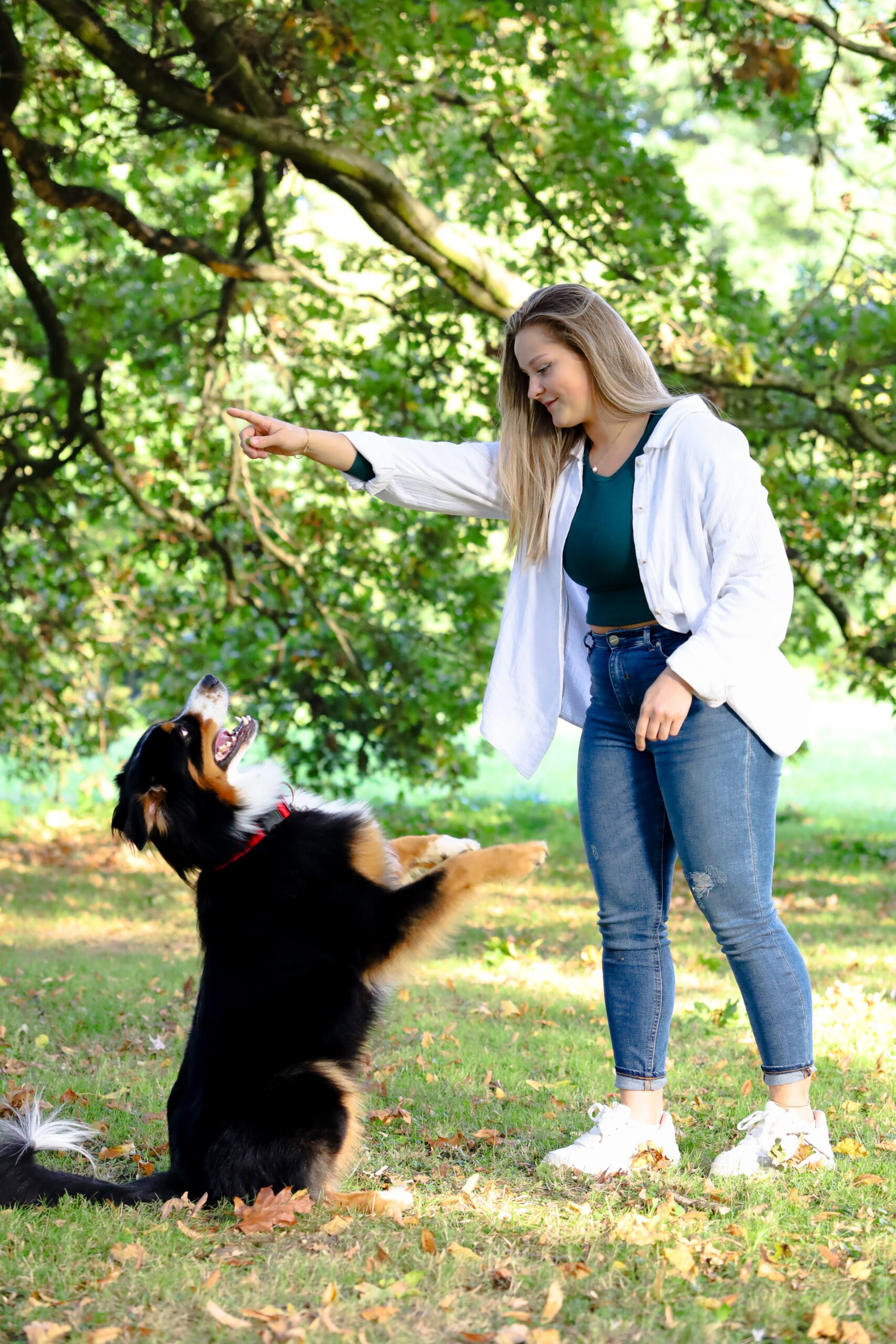 Eine Frau spielt mit einem Hund im Park